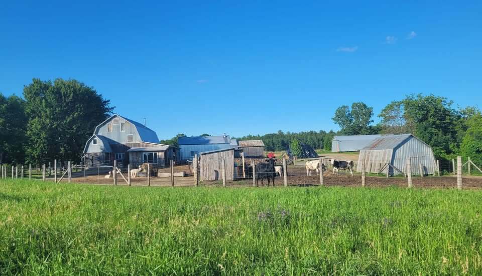 La grange et l'enclos de la Ferme S & C se tiennent au milieu d'un champ verdoyant.