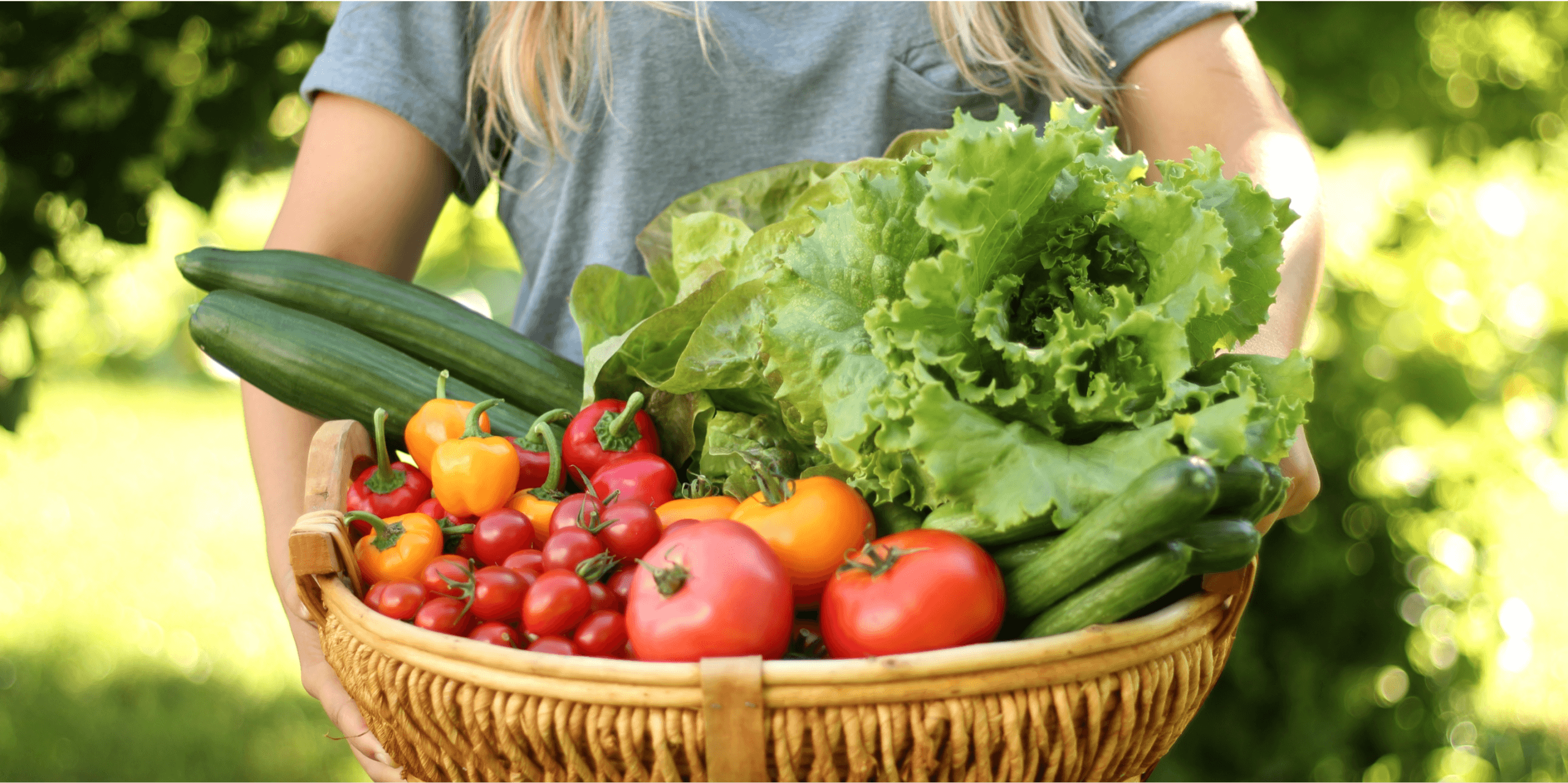 Deux bras tenant un panier rempli de légumes colorés : laitue, tomates, concombres et poivrons.