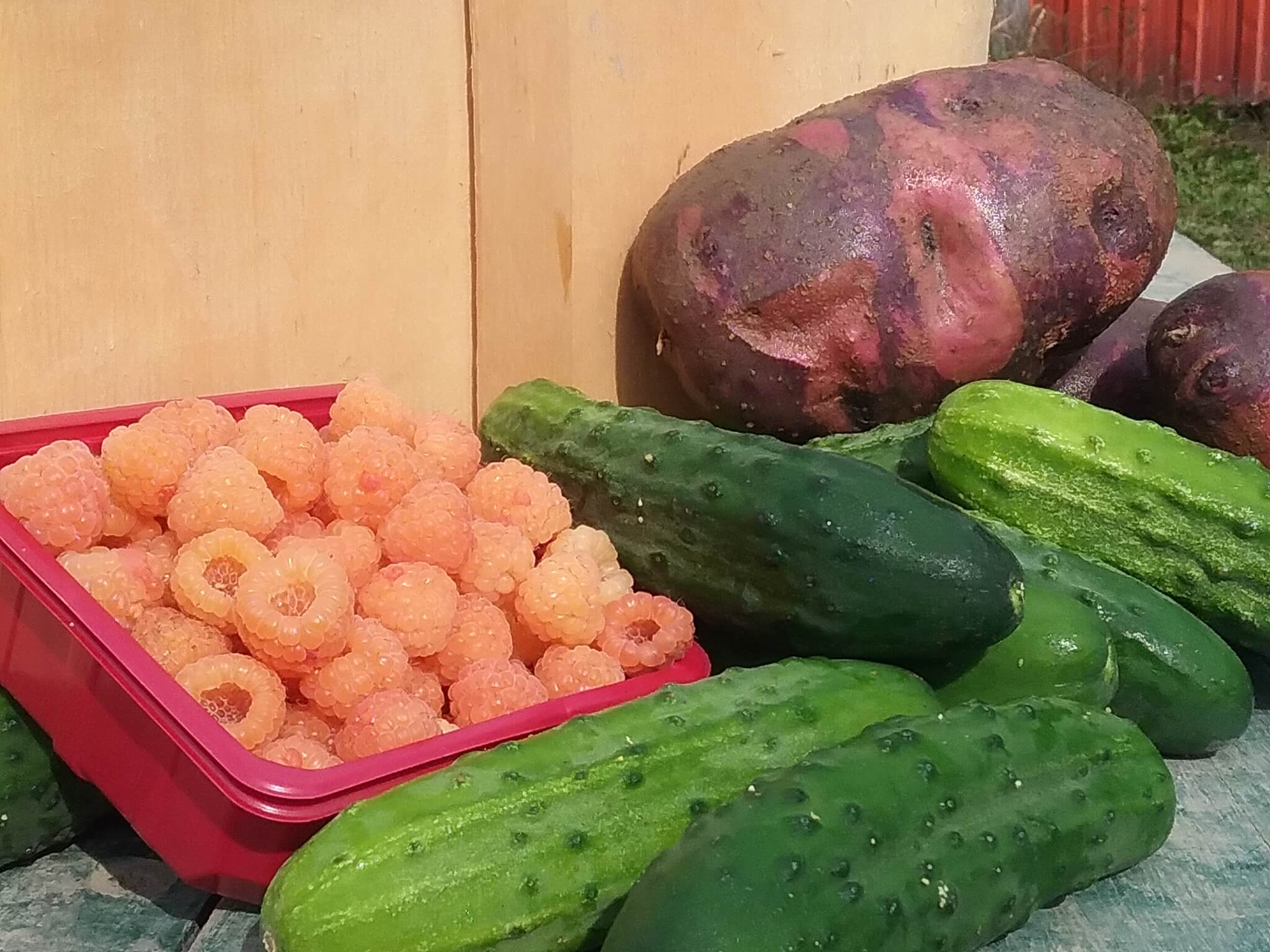 Des framboises, des concombres et des pommes de terre cultivés à la Ferme Germain Desmarais.