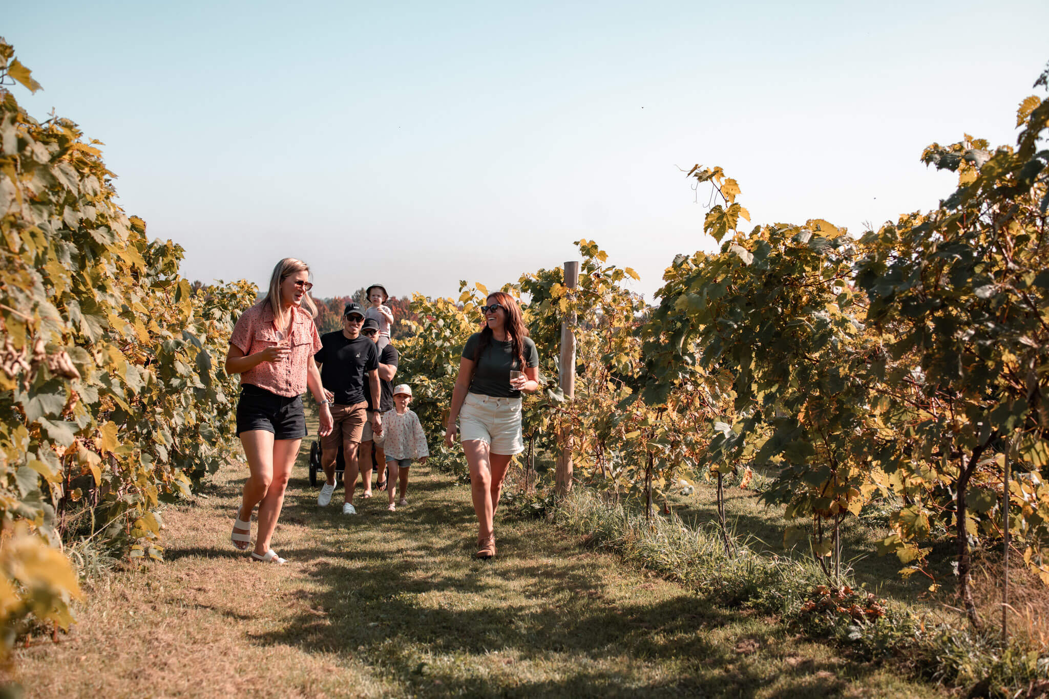 Une famille se baladant entre les vignes d"un vignoble, verre à la main, durant La Balade Gourmande.
