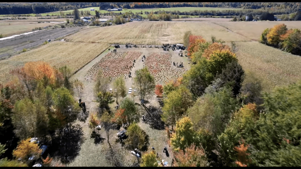 Vue aérienne du champ de citrouilles de la Ferme du vieux Jack.