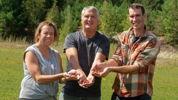 Les trois propriétaires des Jardins VMO se tiennent dans leurs champs avec les mains pleines de canneberges.