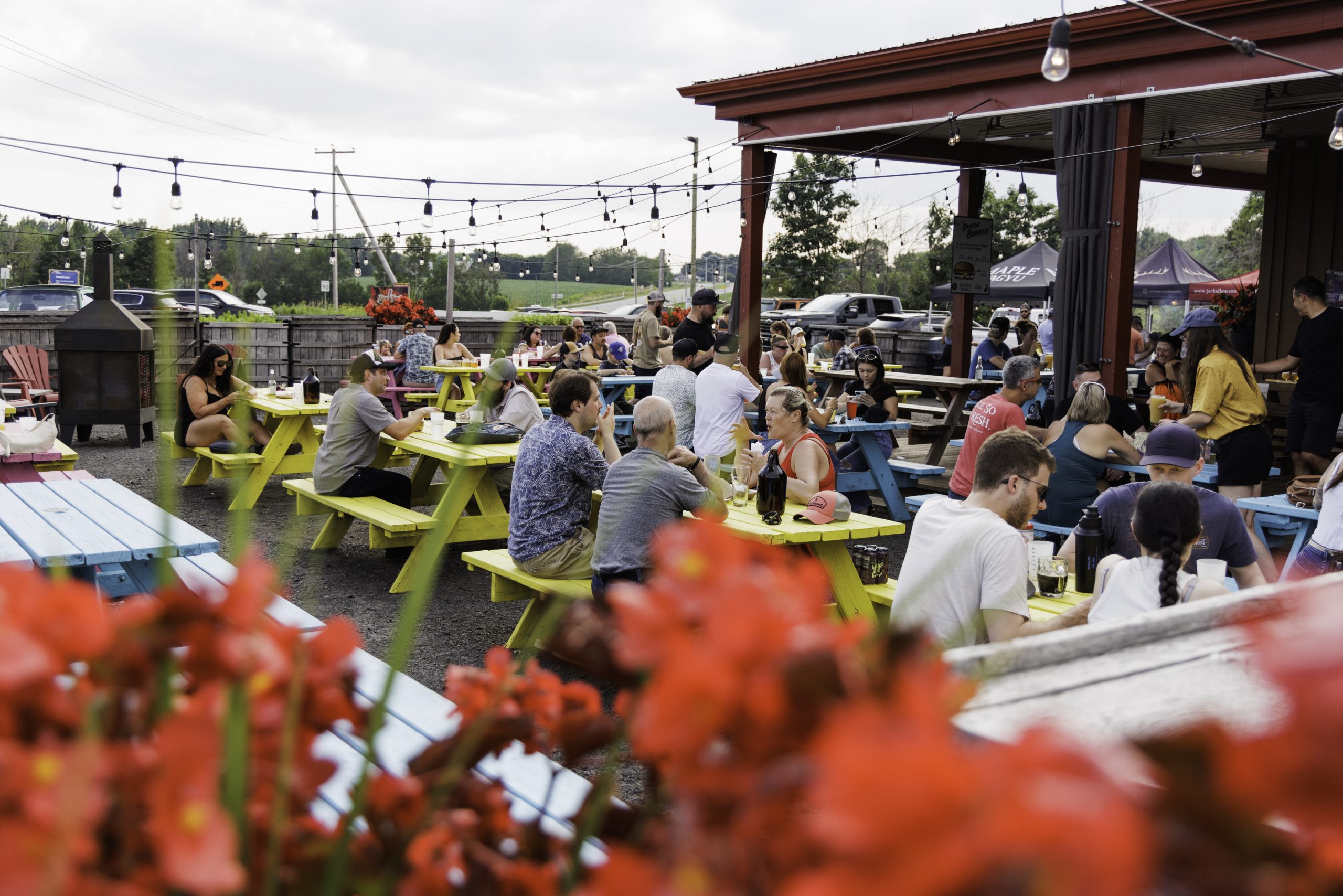 Des gens profitent de la terrasse colorée de la microbrasserie Jackalhop par une belle journée d'été.