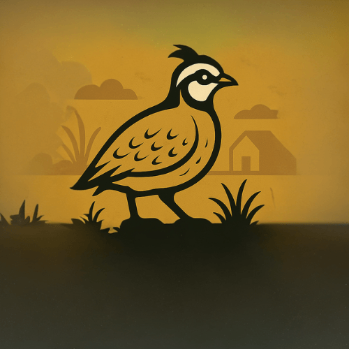 Illustration de caille tirée du logo de Microferme VL.