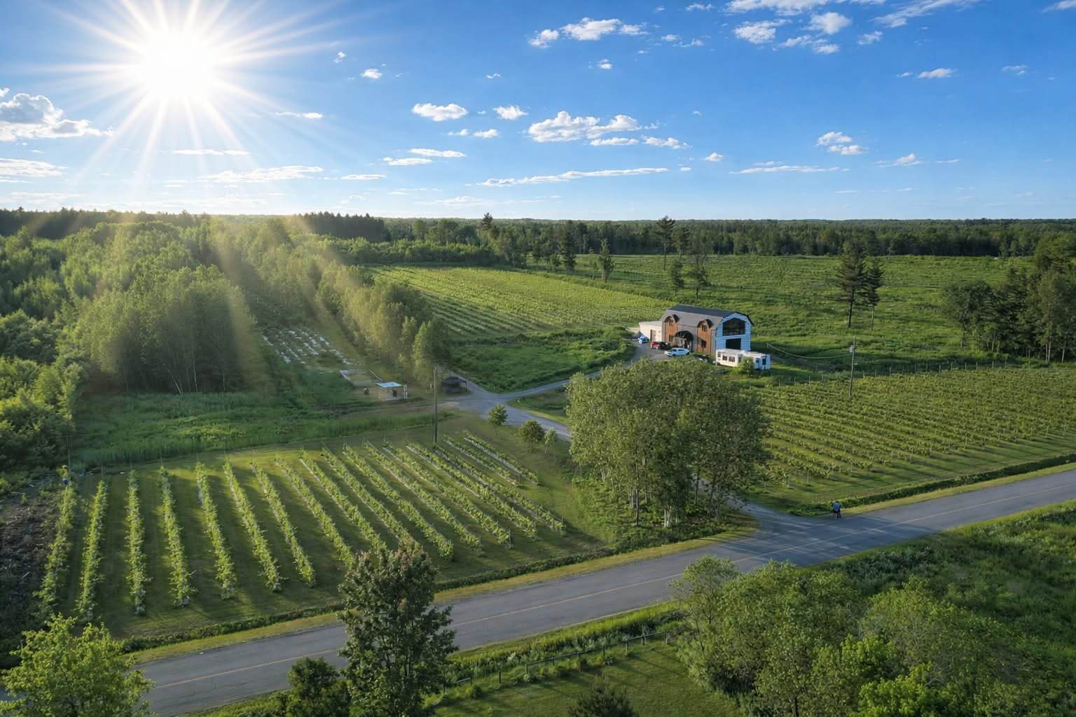 Le domaine du Vignoble Com'Autrefois, avec ses 6 000 vignes.